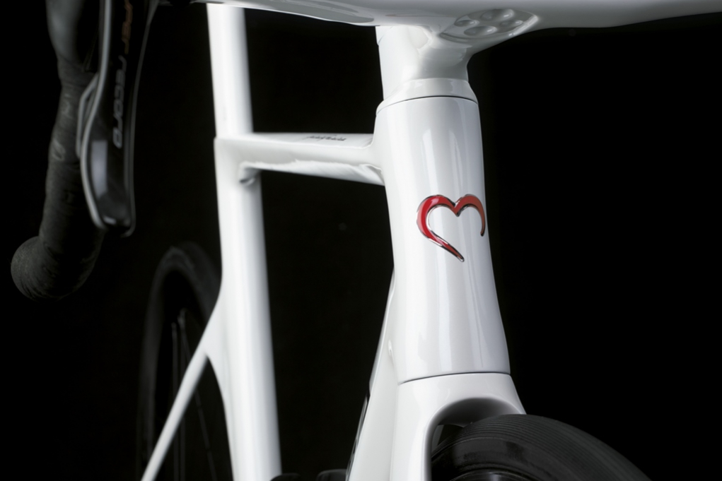 SK_DISK_BIANCA_PART_78544